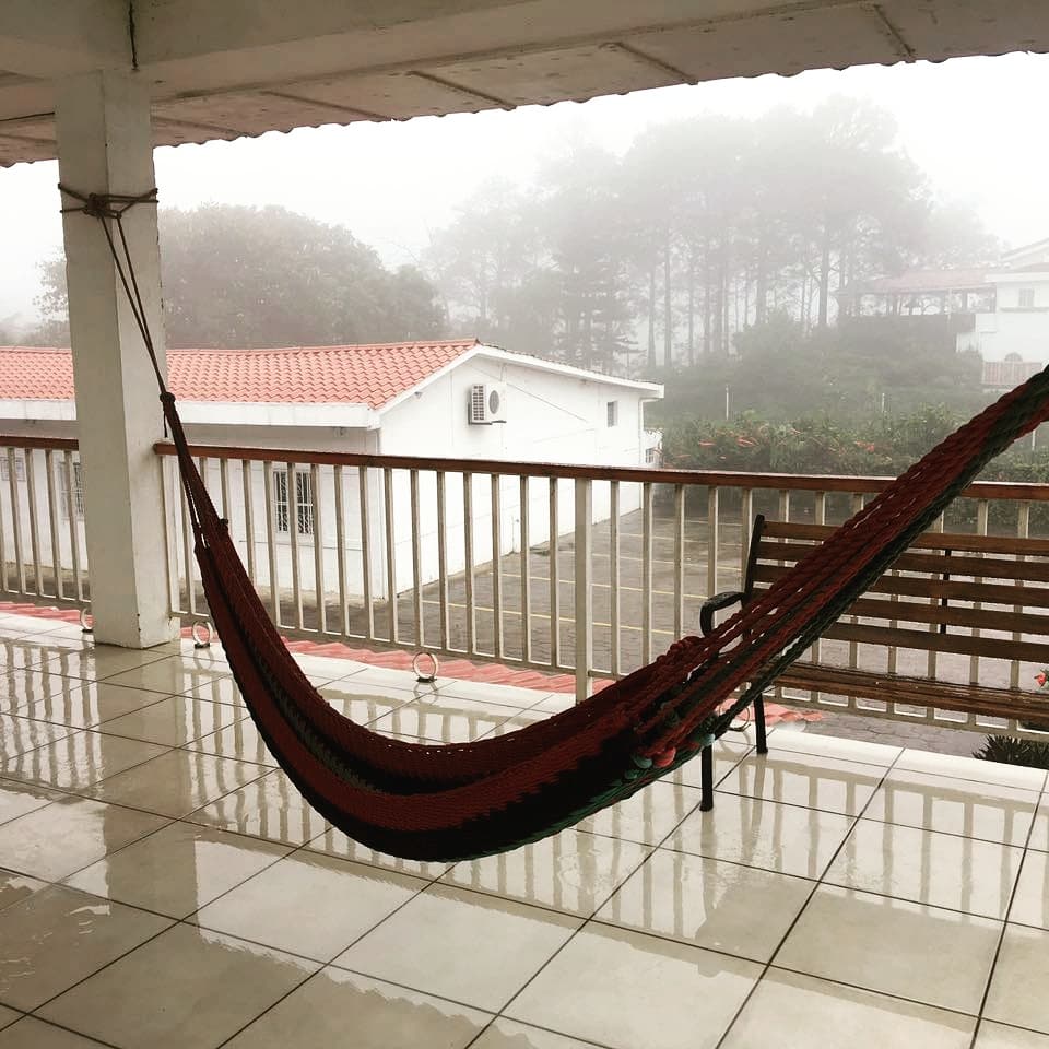 Hammocks among the trees