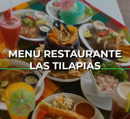Fried tilapia with salad and tortillas
