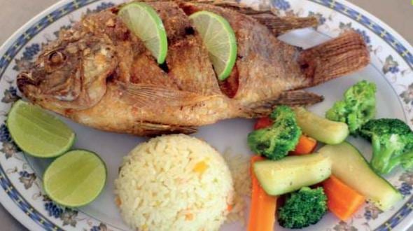 Tilapia frita